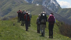 Himachal trek